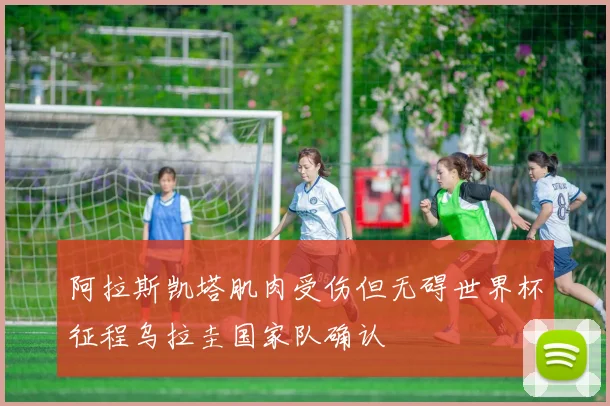 阿拉斯凯塔肌肉受伤但无碍世界杯征程乌拉圭国家队确认